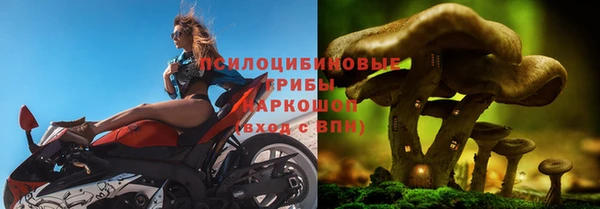 ALPHA-PVP Баксан