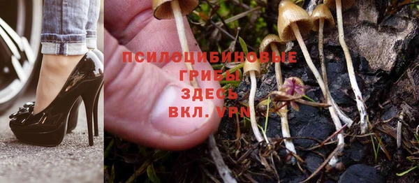 твердый Балахна
