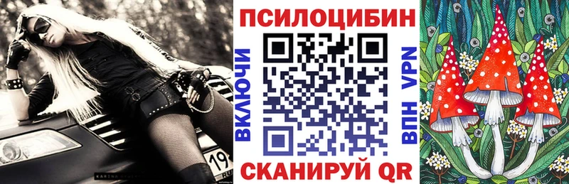 Псилоцибиновые грибы Cubensis  как найти наркотики  Пересвет 